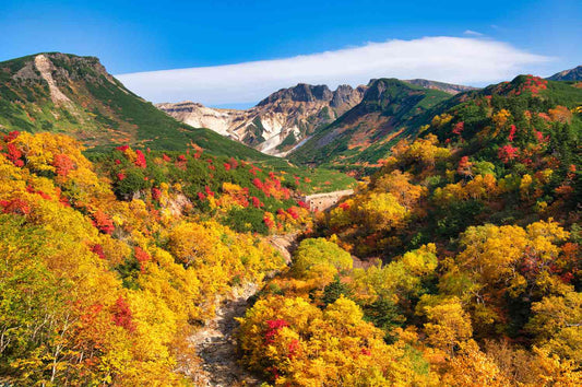 Wisata Hokkaido: Keindahan Alam Taman Nasional di Hokkaido yang Menakjubkan