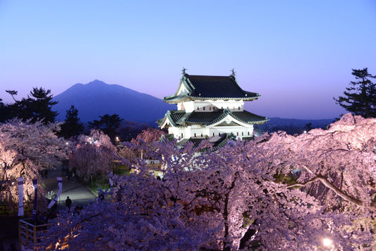 Hirosaki Cherry Blossom Festival: Keindahan Bunga Sakura yang Memukau di Aomori