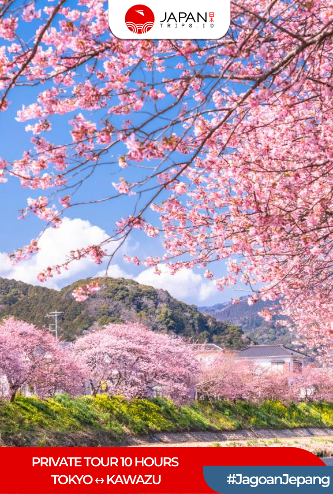 Private Tour 10 Hours Tokyo ↔ Kawazu