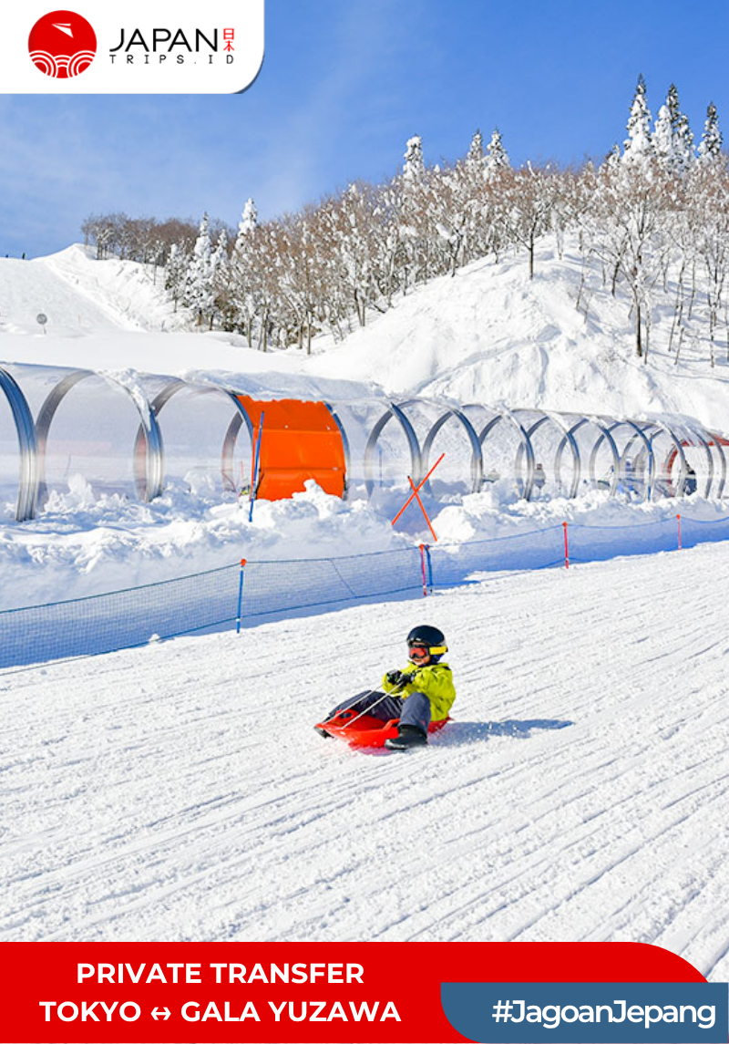 Private Transfer Tokyo ↔ Gala Yuzawa