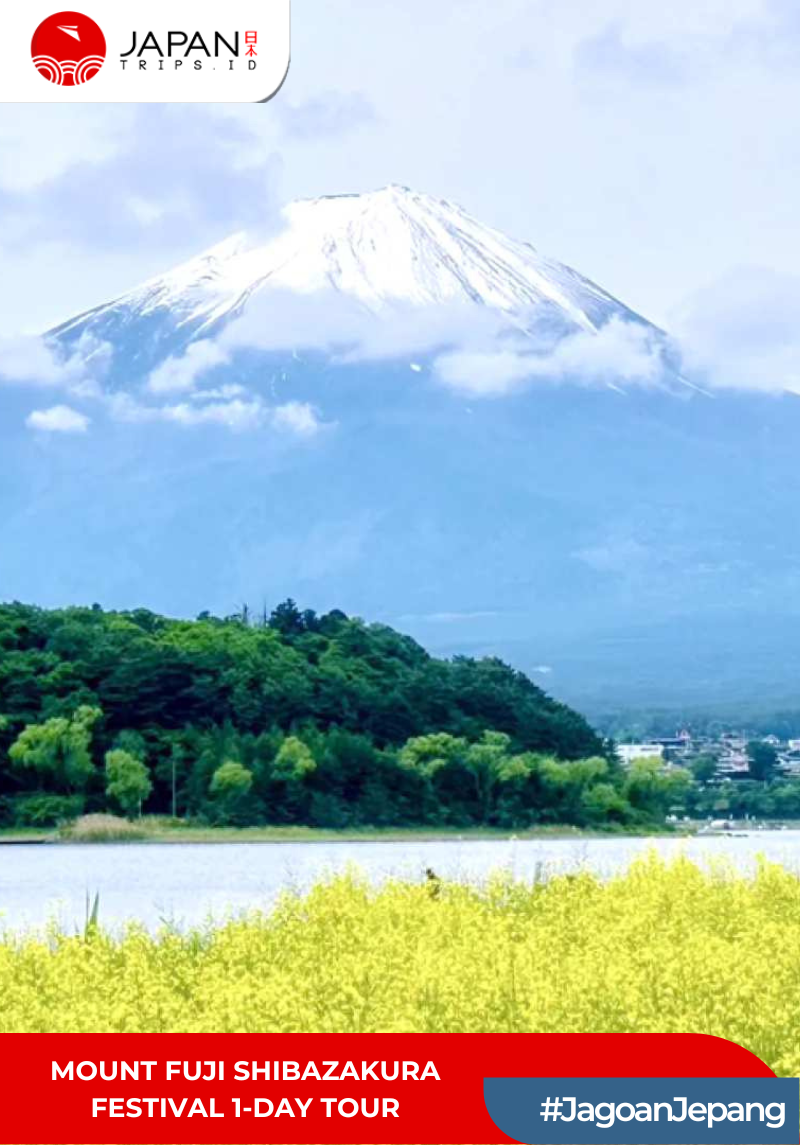 Mount Fuji Shibazakura Festival 1-Day Tour | Tur 1 Hari Festival Gunung Fuji Shibazakura