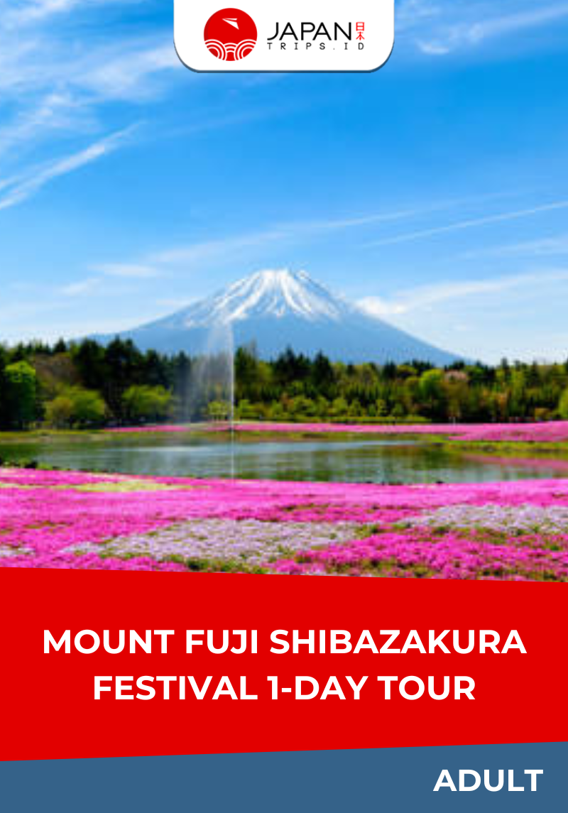 Mount Fuji Shibazakura Festival 1-Day Tour | Tur 1 Hari Festival Gunung Fuji Shibazakura