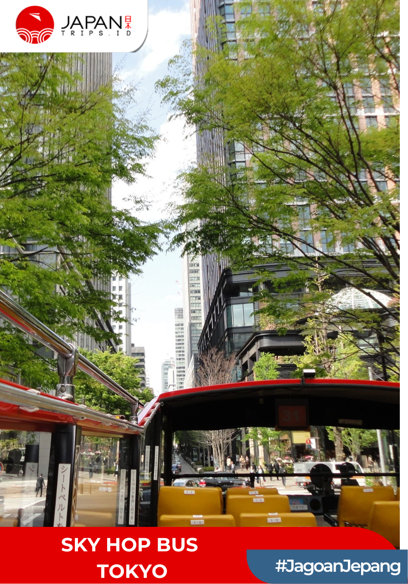 Tokyo Sky Hop Bus Day Pass | Japan