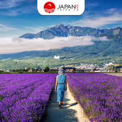 Hokkaido Furano Day Tour | Asahiyama Zoo, Shirogane Blue Pond, Shirahige Falls & Lunch