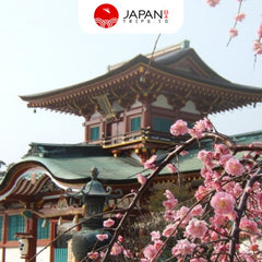 JR Hiroshima Yamaguchi Area Pass 5 Days