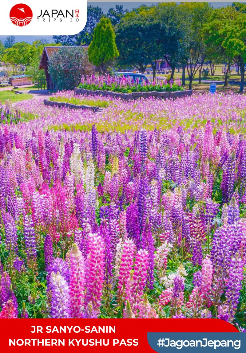 JR Sanyo-Sanin Northern Kyushu Pass