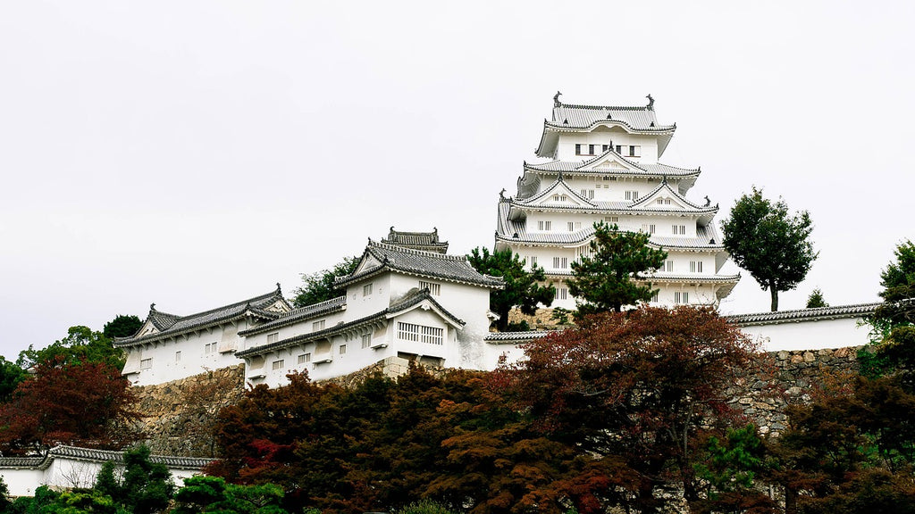 Image Banner