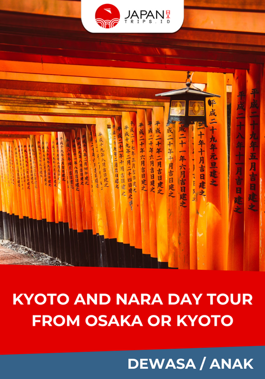 Osaka, Kyoto & Nara Day Tour with Lunch | English Guide