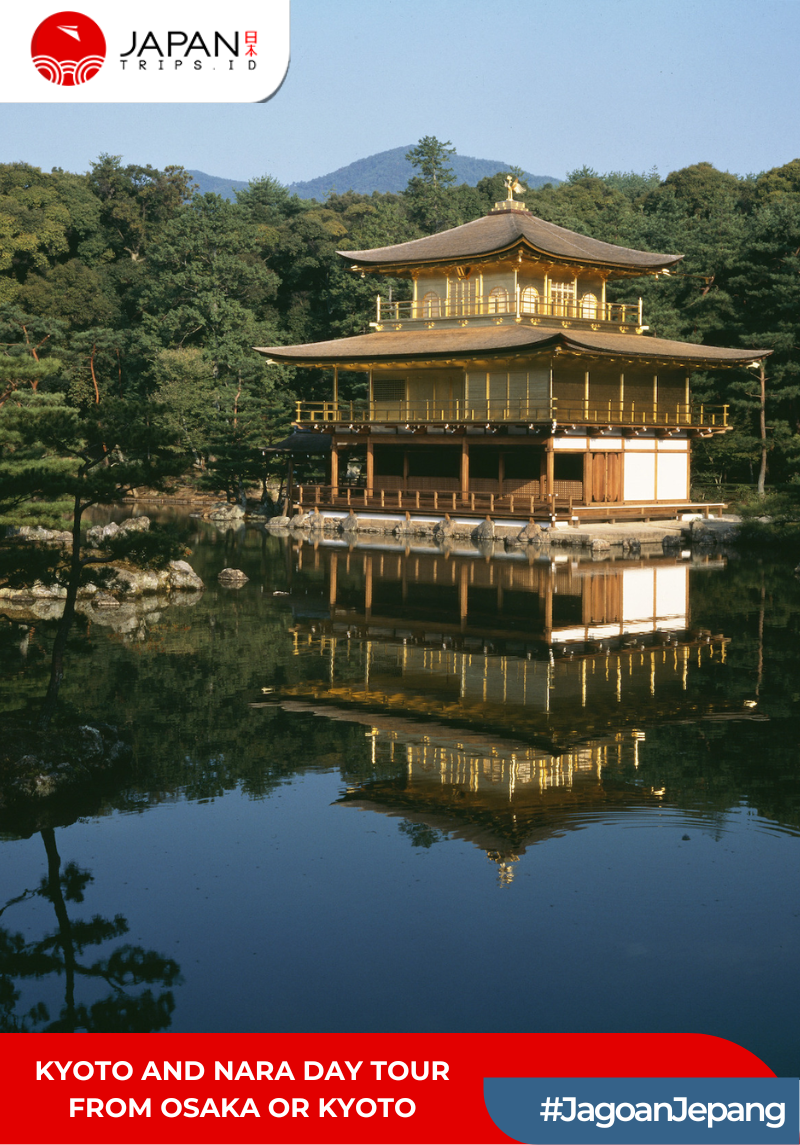 Osaka, Kyoto & Nara Day Tour with Lunch | English Guide