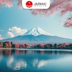 Mt. Fuji Shizuoka Area Tourist Pass Mini 3 Days