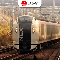 N’EX Narita Express Ticket | Narita Express to Tokyo