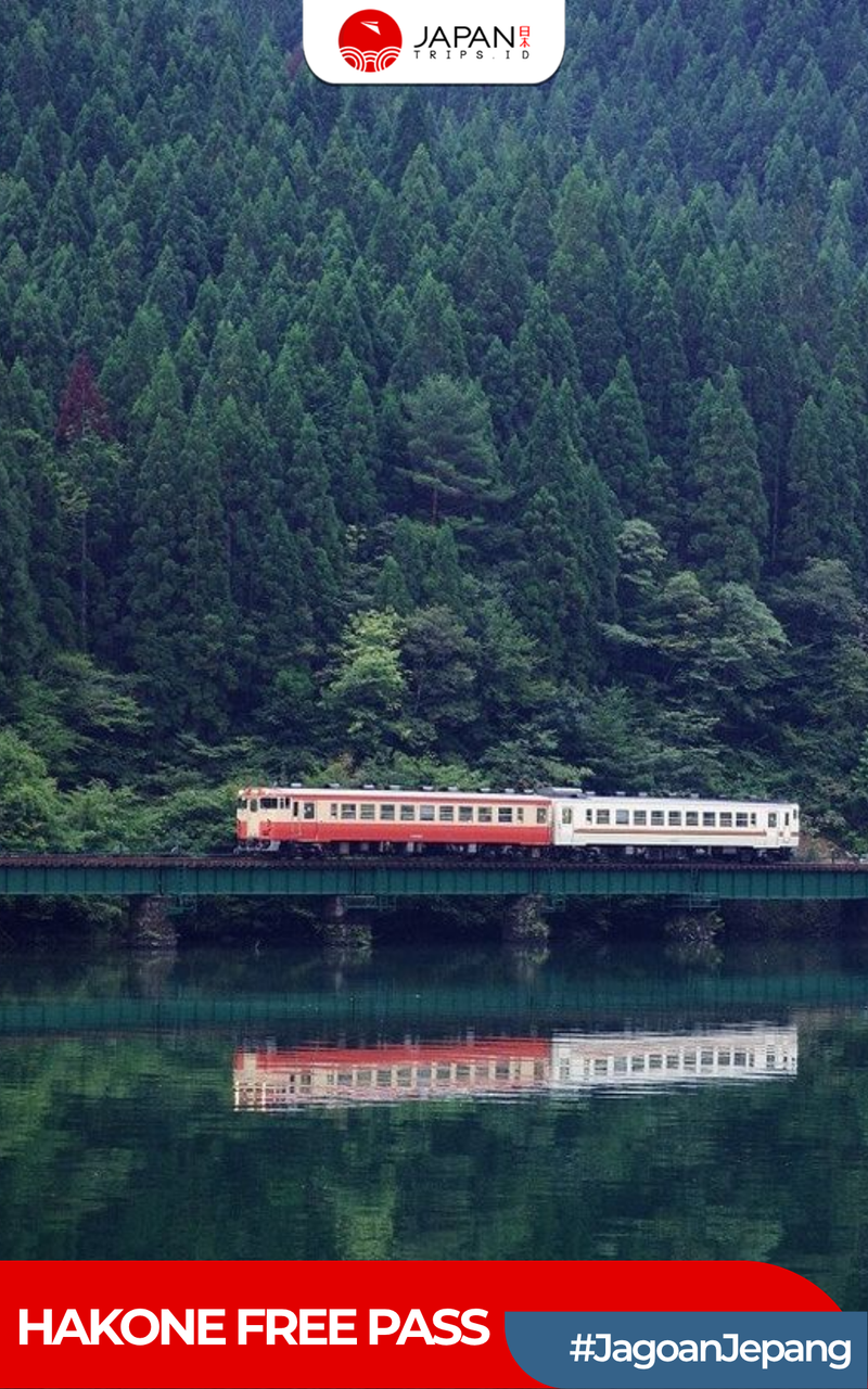 Hakone Freepass 2/3 Days | Shinjuku Odawara Pass