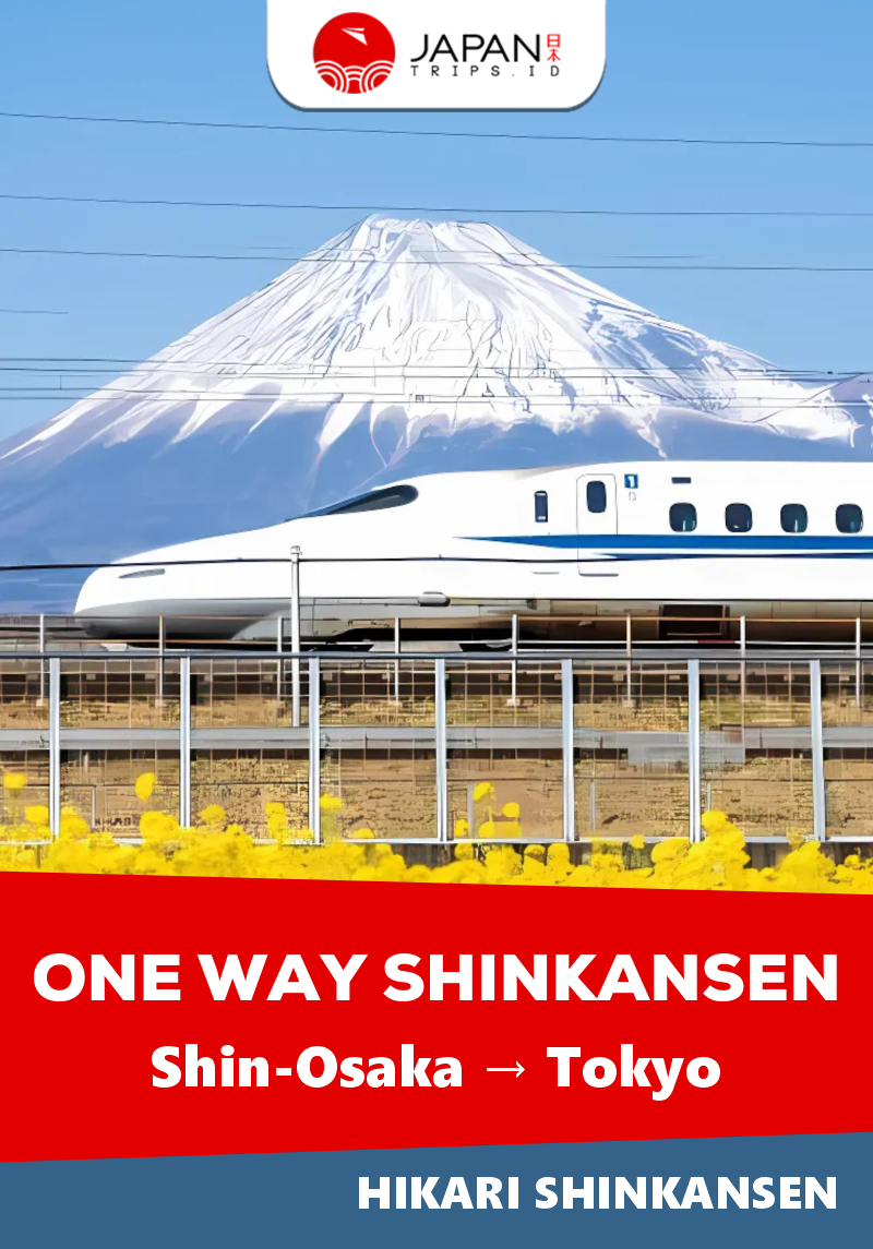 Shinkansen Hikari Shin-Osaka to Tokyo