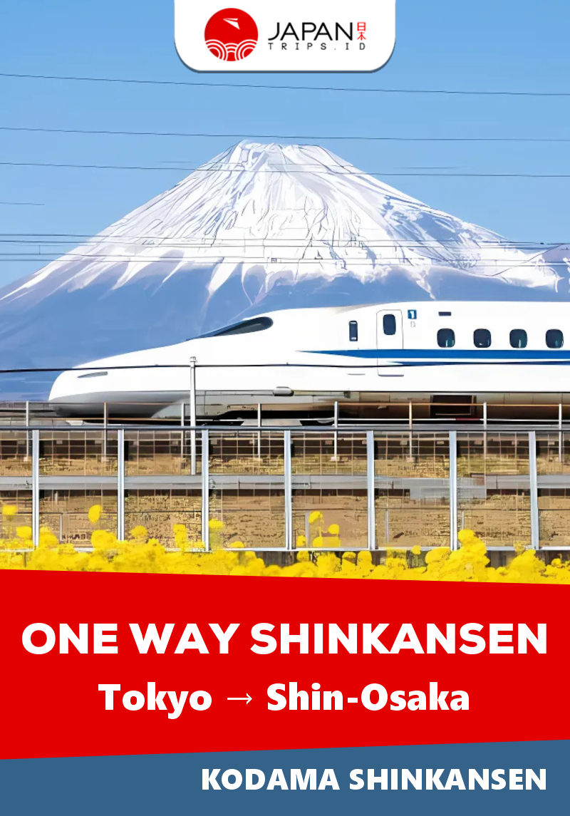 Shinkansen Kodama Tokyo to Shin-Osaka