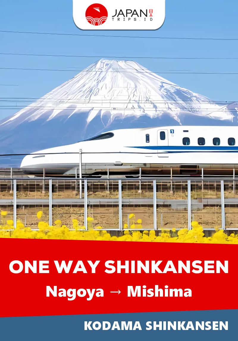 Shinkansen Kodama Nagoya to Mishima