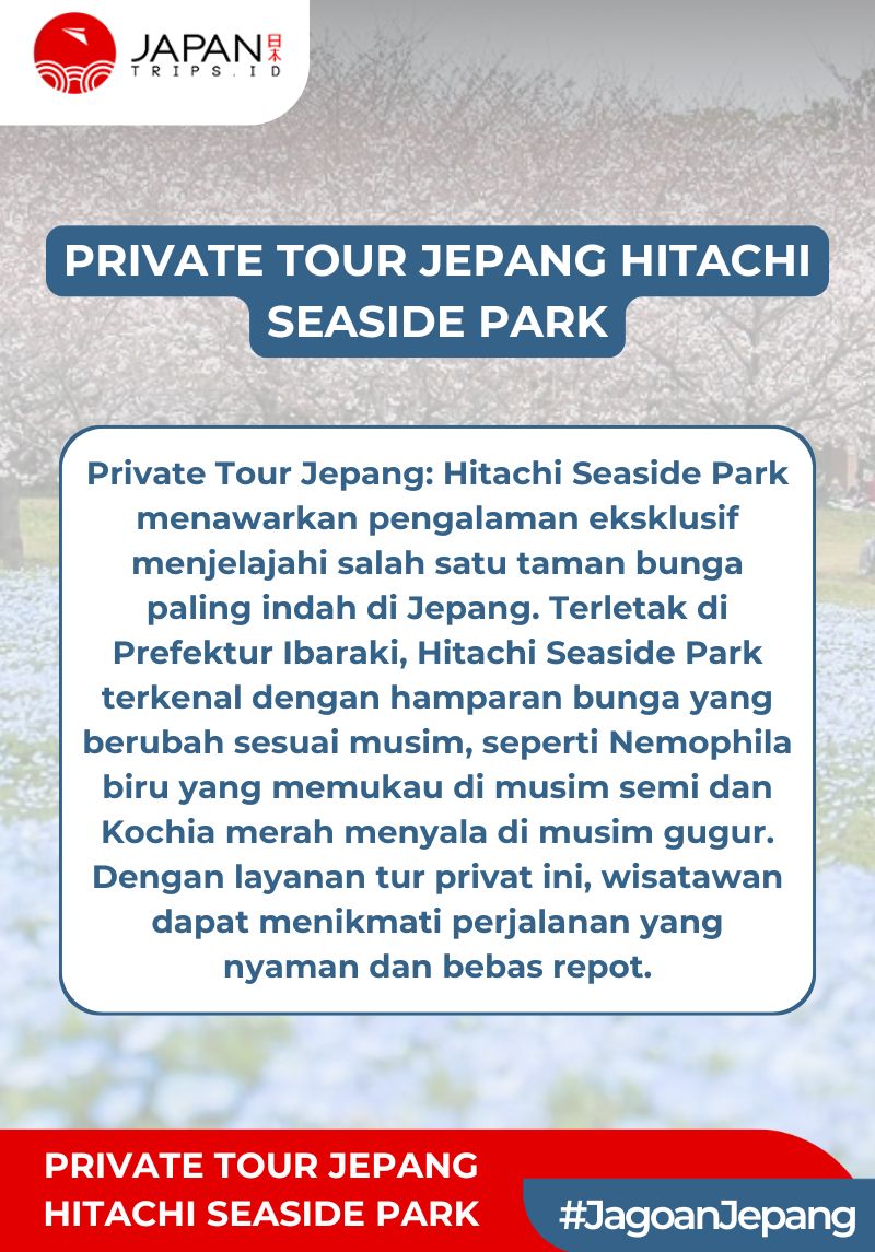 Private Tour Jepang – Hitachi Seaside Park
