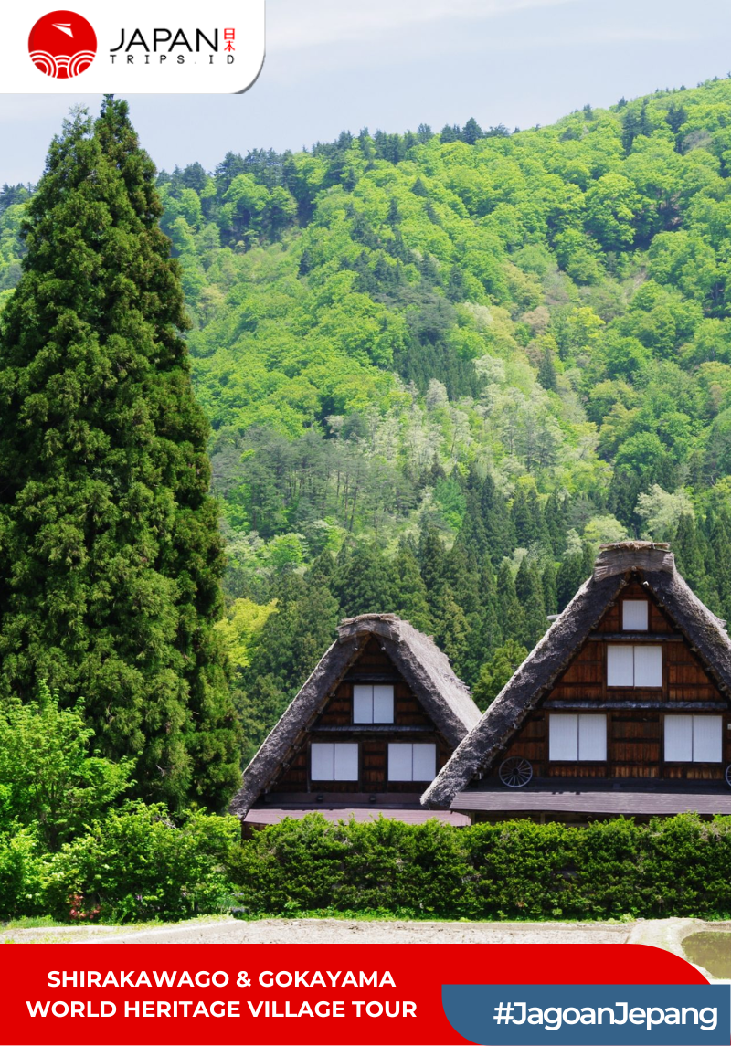 Shirakawago & Gokayama World Heritage Village Tour