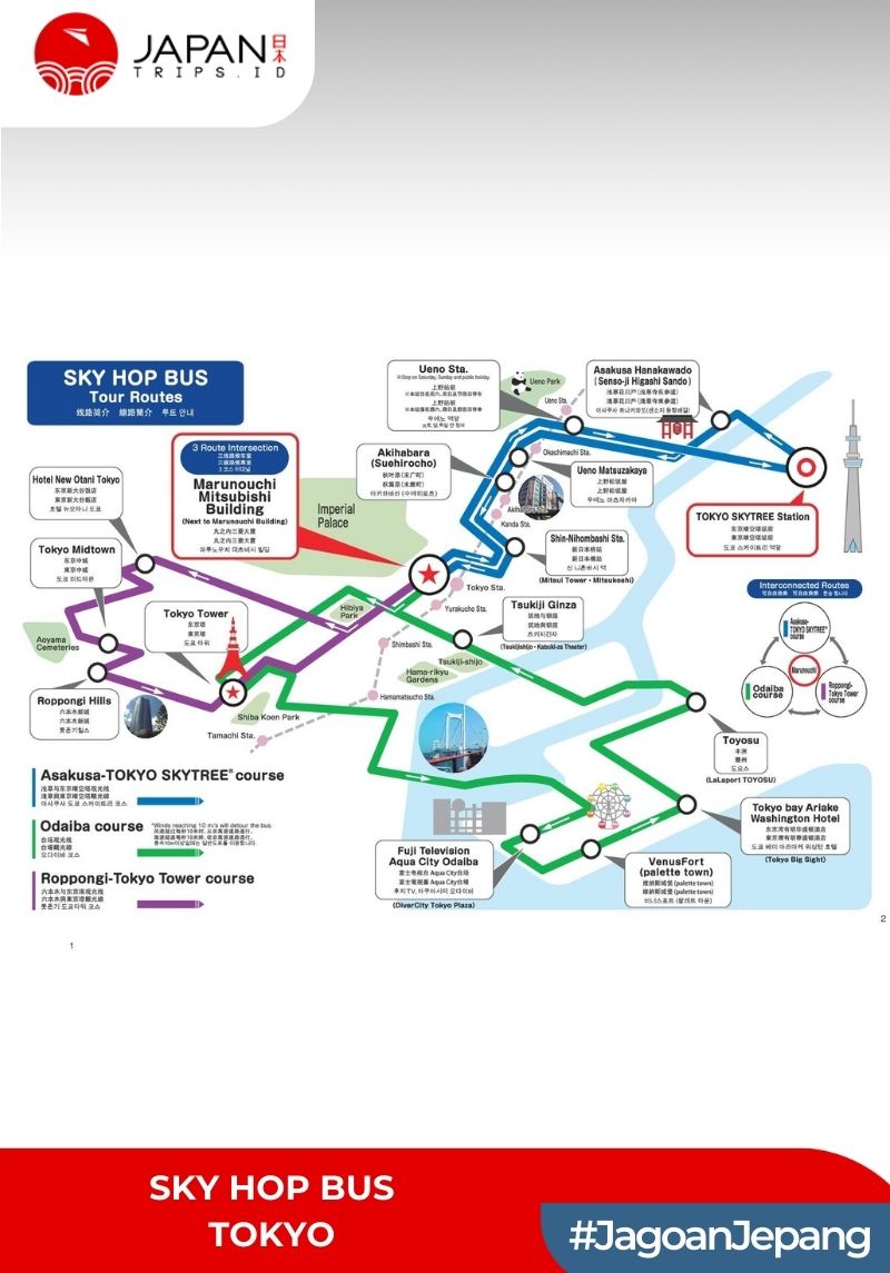 Tokyo Sky Hop Bus Day Pass | Japan