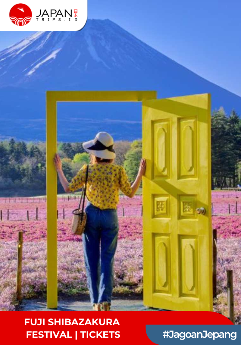 Fuji Shibazakura Festival | Tickets