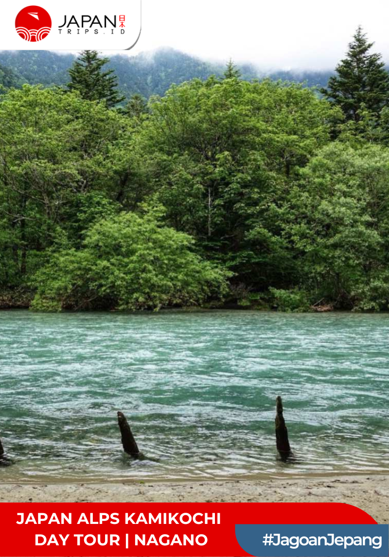 Japan Alps Kamikochi Day Tour|Departure from Nagoya|Nagano