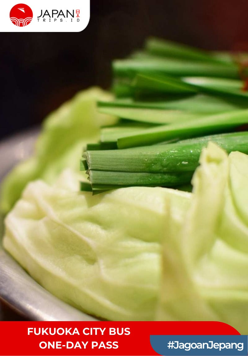 Fukuoka City Bus One-Day Pass