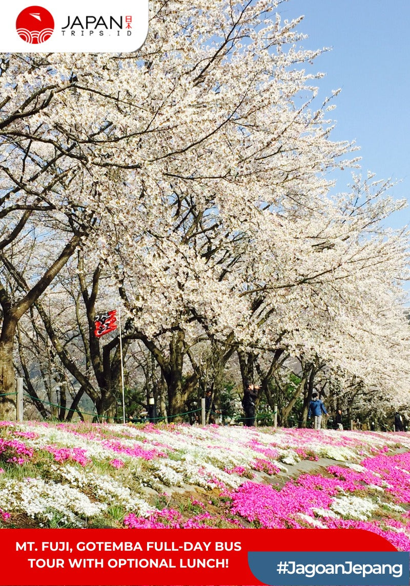 Mt. Fuji, Gotemba Full-Day Bus Tour with Optional Lunch (English Guide)