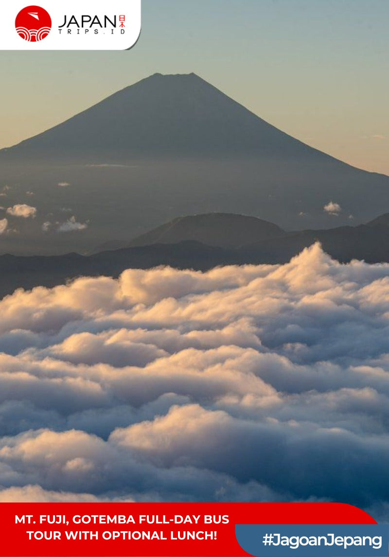 Mt. Fuji, Gotemba Full-Day Bus Tour with Optional Lunch (English Guide)