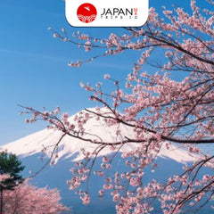 Mt. Fuji, Gotemba Full-Day Bus Tour with Optional Lunch (English Guide)