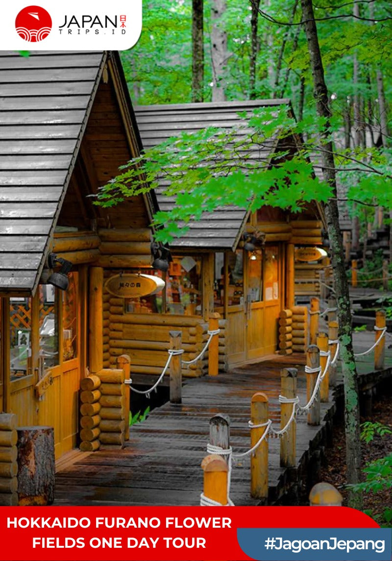 Hokkaido Furano Flower Fields One Day Tour | Tur Satu Hari di Ladang Bunga Furano Hokkaido
