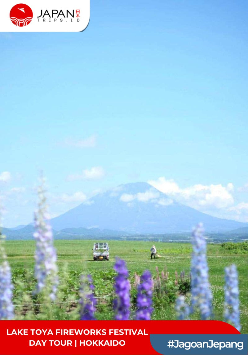 Lake Toya Fireworks Festival Day Tour | Hokkaido