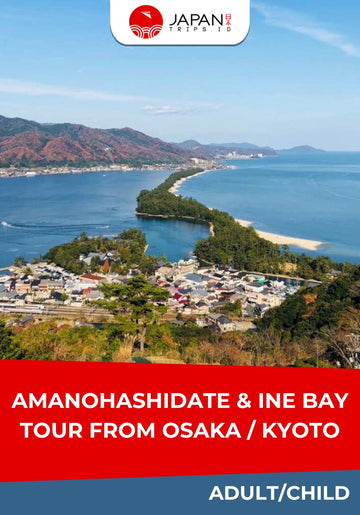 Amanohashidate & Ine Bay Tour From Osaka/Kyoto