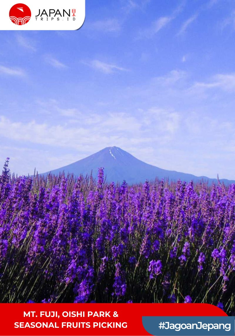 Mt. Fuji, Oishi Park & Seasonal Fruits Picking