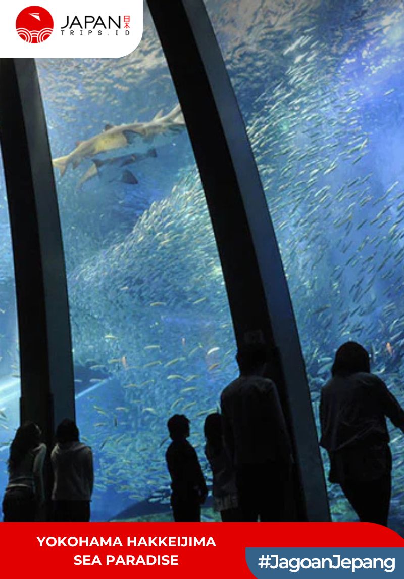 Yokohama Hakkeijima Sea Paradise