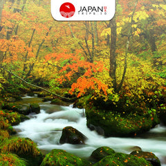 Aomori Autumn Day Tour: Oirase Gorge, Lake Towada & Hirosaki Park | Japan