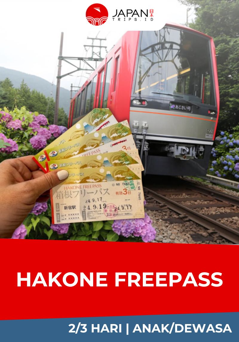 Hakone Freepass 2/3 Days | Shinjuku Odawara Pass