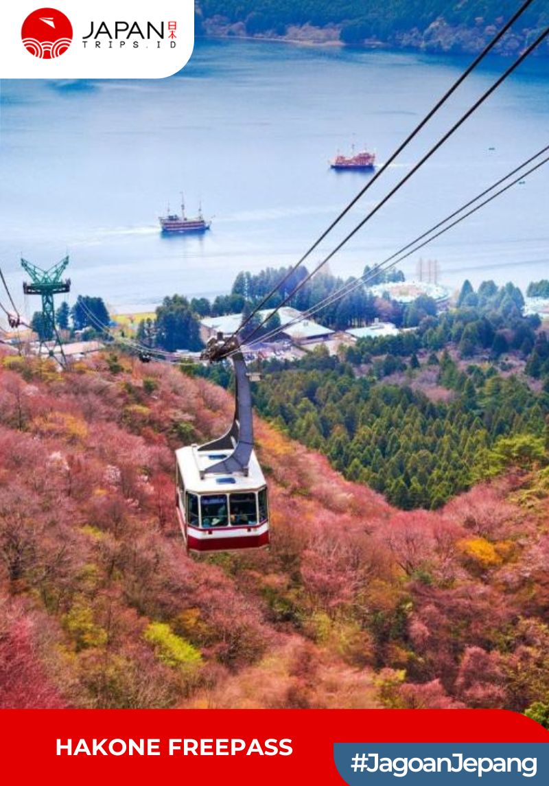 Hakone Freepass 2/3 Days | Shinjuku Odawara Pass
