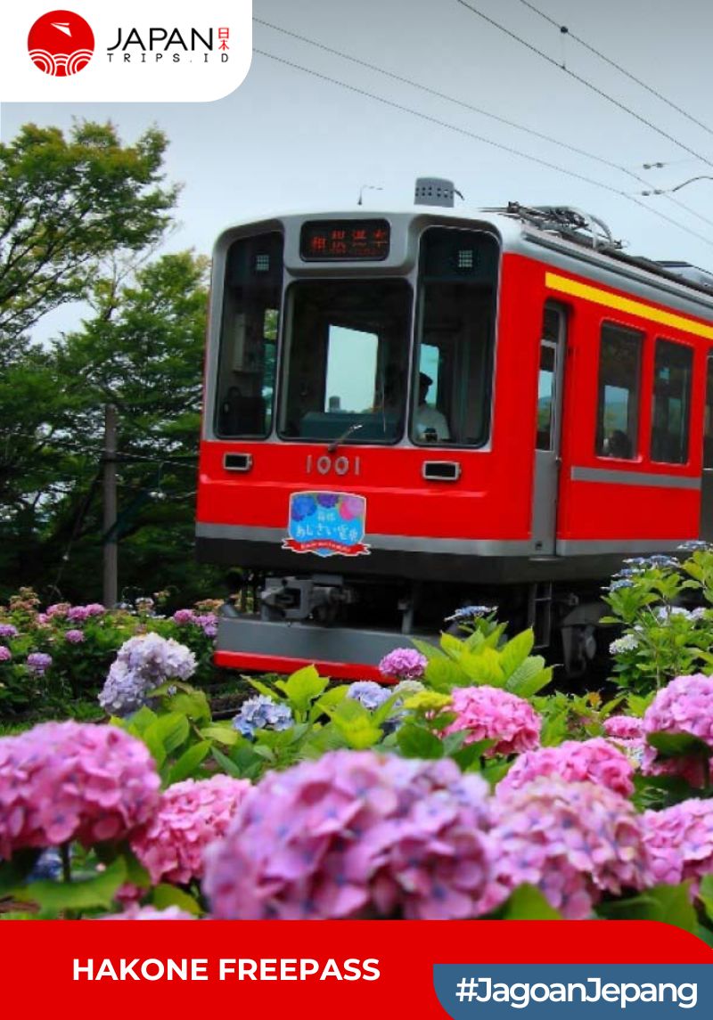 Hakone Freepass 2/3 Days | Shinjuku Odawara Pass