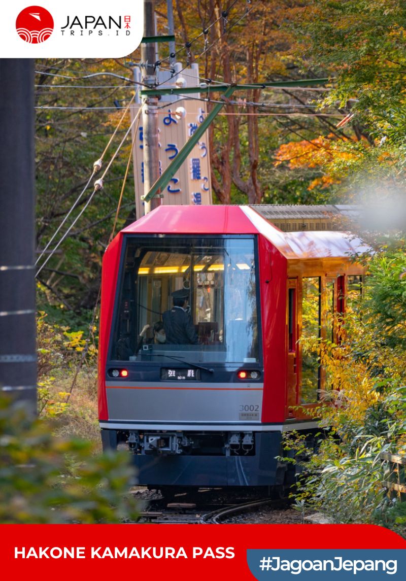 Hakone Kamakura Pass 3 Days