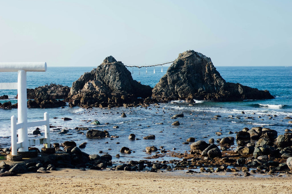 Image Banner