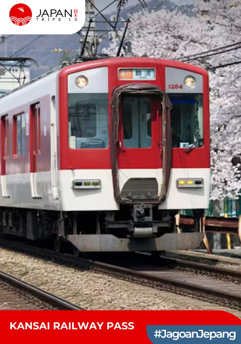 Kansai Railway Pass 2/3 Days | Kansai Thru Pass
