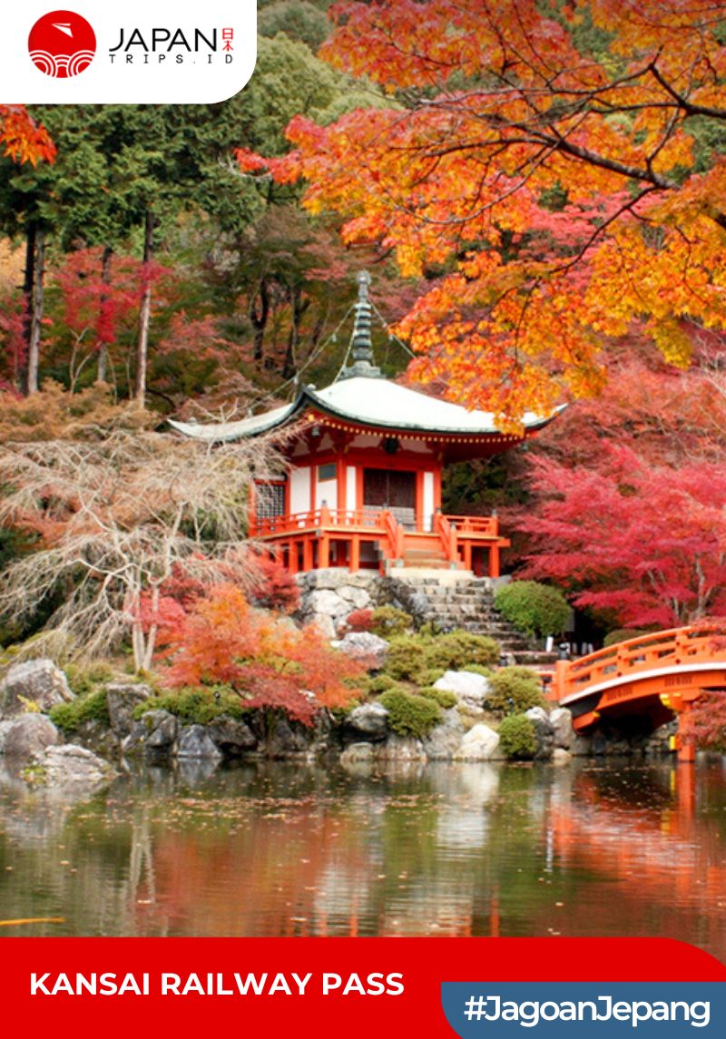 Kansai Railway Pass 2/3 Days | Kansai Thru Pass