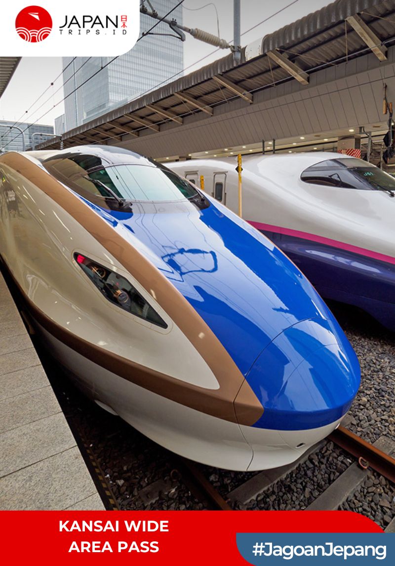 Kansai WIDE Area Pass 5 Days
