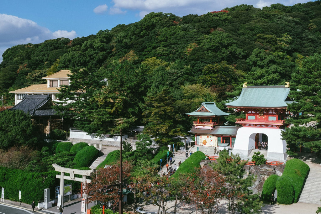 Image Banner