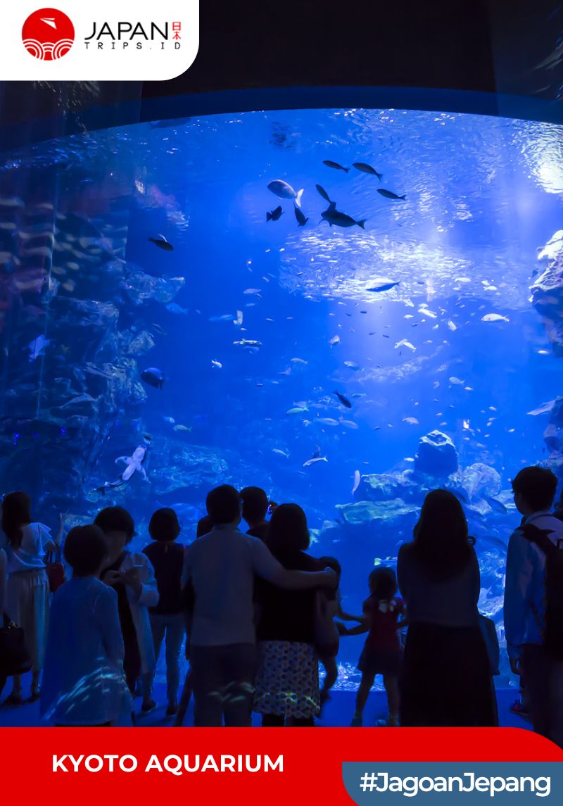 Kyoto Aquarium Admission Ticket | Tiket Kyoto Aquarium