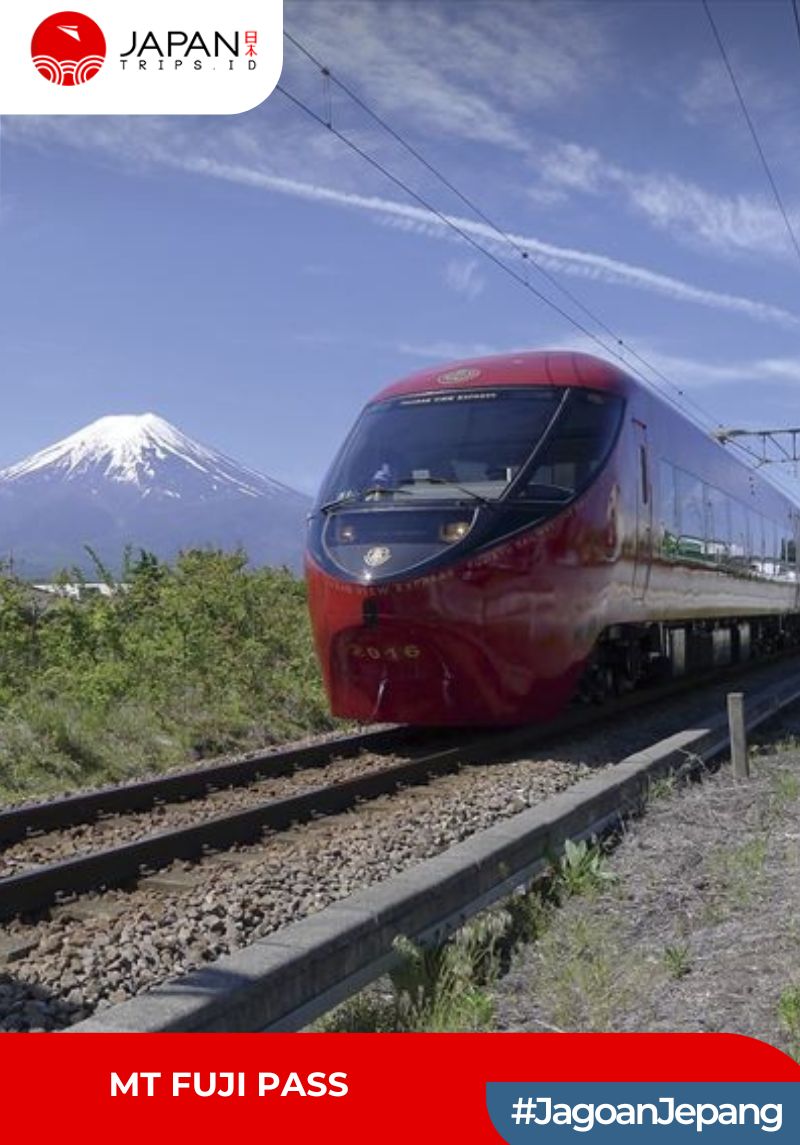 Mt. Fuji Pass | Mt. Fuji View Express