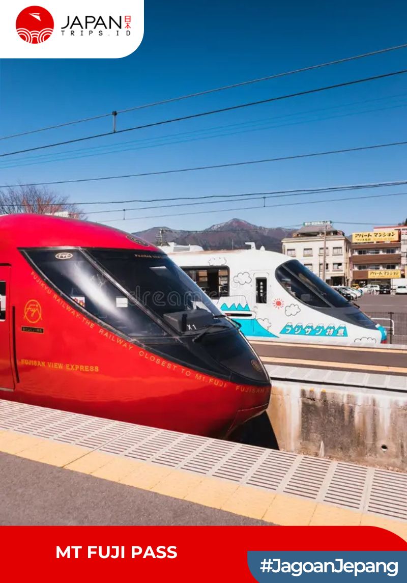 Mt. Fuji Pass | Mt. Fuji View Express