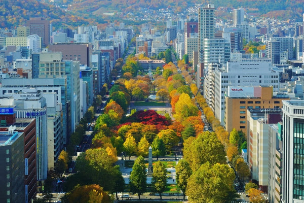 Odori Park | Sapporo