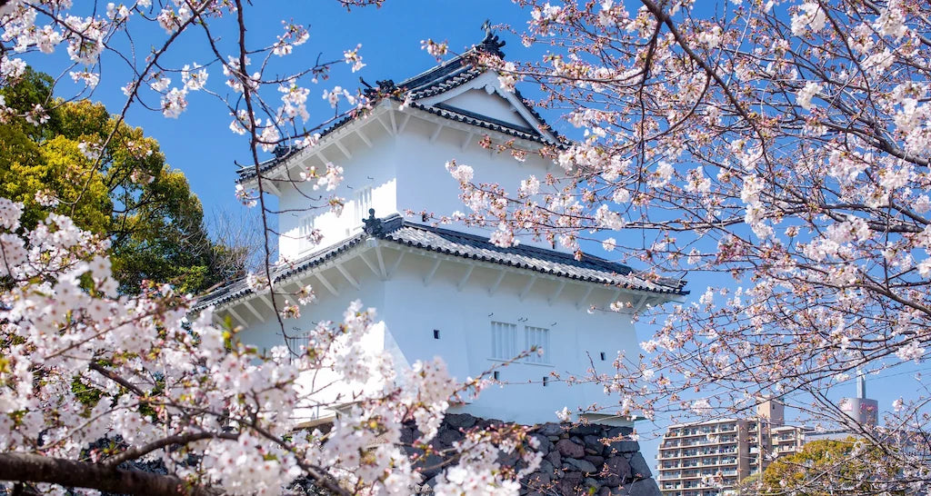 Image Banner