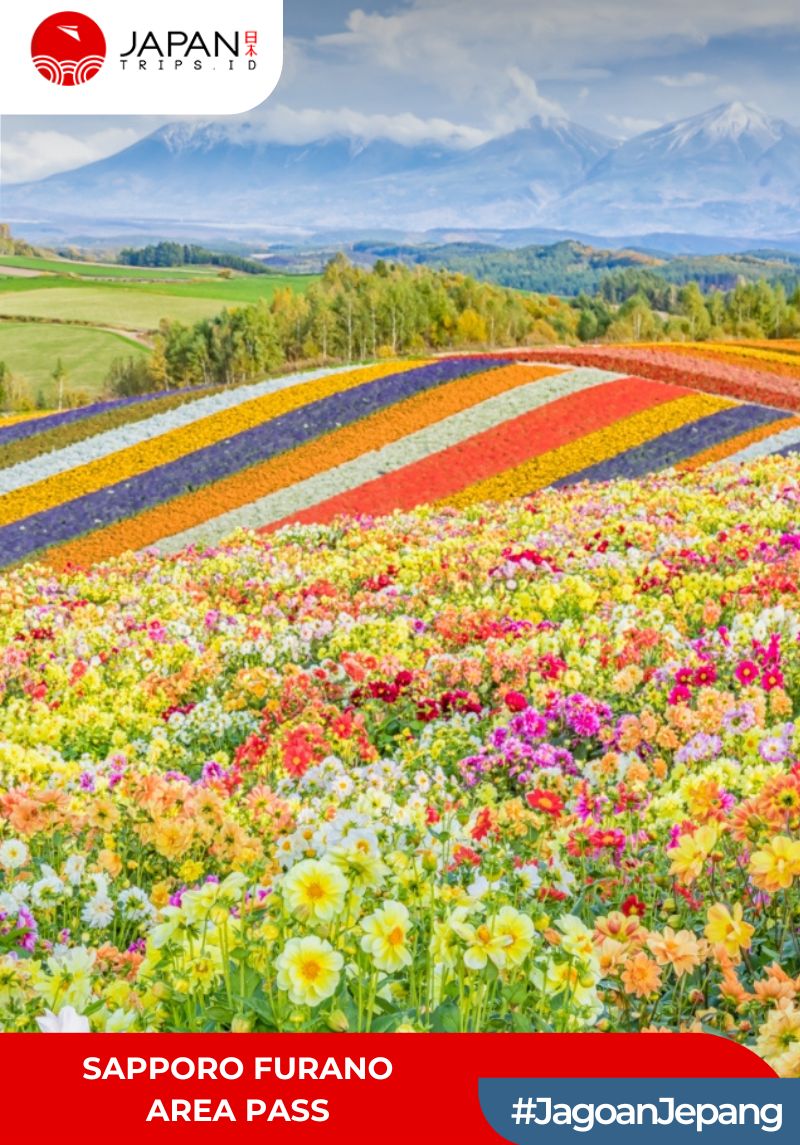JR Sapporo Furano Area Pass 4 Days