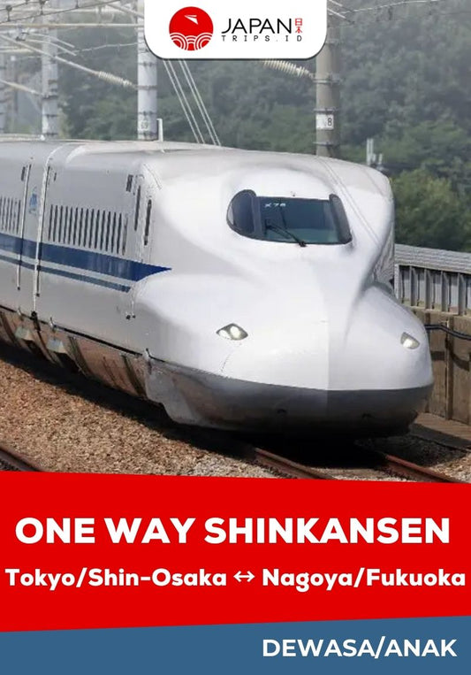 Shinkansen Tokyo/Shin Osaka/Kyoto To Nagoya/Fukuoka One Way Ticket | Nozomi Shinkansen